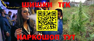 бошки Камышлов