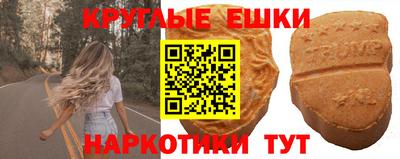 бошки Камышлов