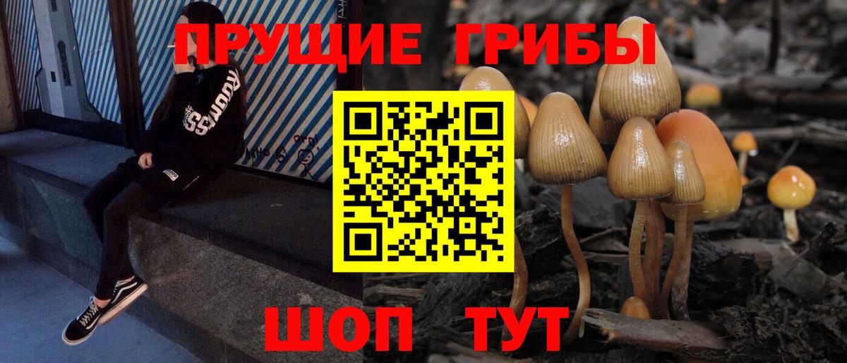 Псилоцибиновые грибы мухоморы Мурино
